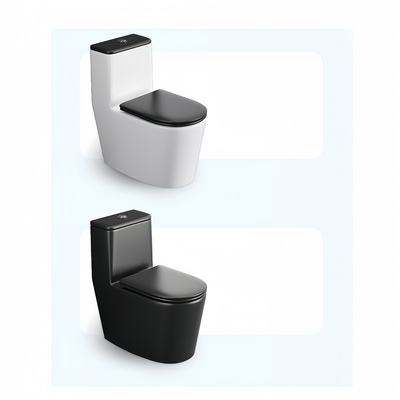 250 mm schwarz-matte Keramik-Zwei-Flush-Boden-Stand-Toilettenschüssel für das Bad Standard
