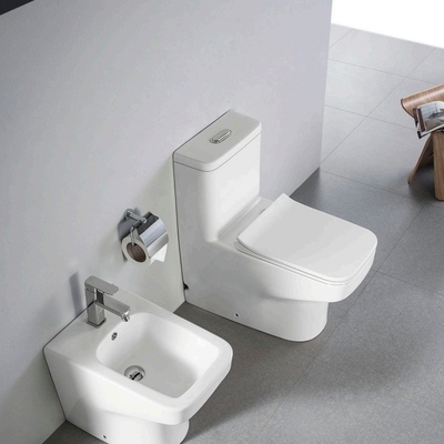 Chinesische Luxus-Keramik-Sifonische Einstück-Farb-Matto-Toilette mit Puffer-Abdeckungsplatte