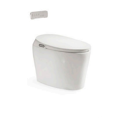 110v Automatisches Keramik-Badezimmer Toilettensystem Selbstreinigung öffentliches Smart-Elektrisches Spülsensor Intelligentes Toilettenbecken